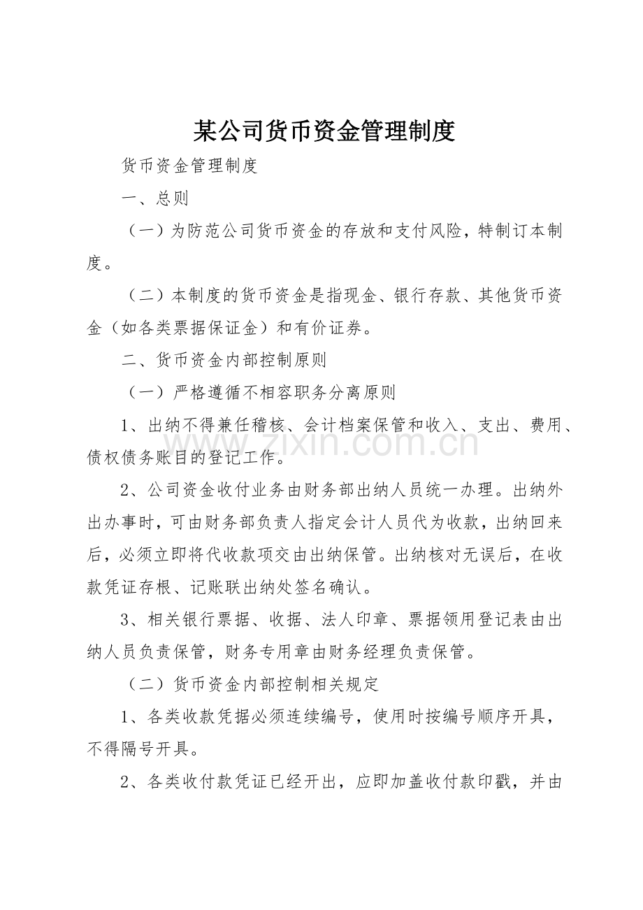 某公司货币资金管理规章制度细则.docx_第1页