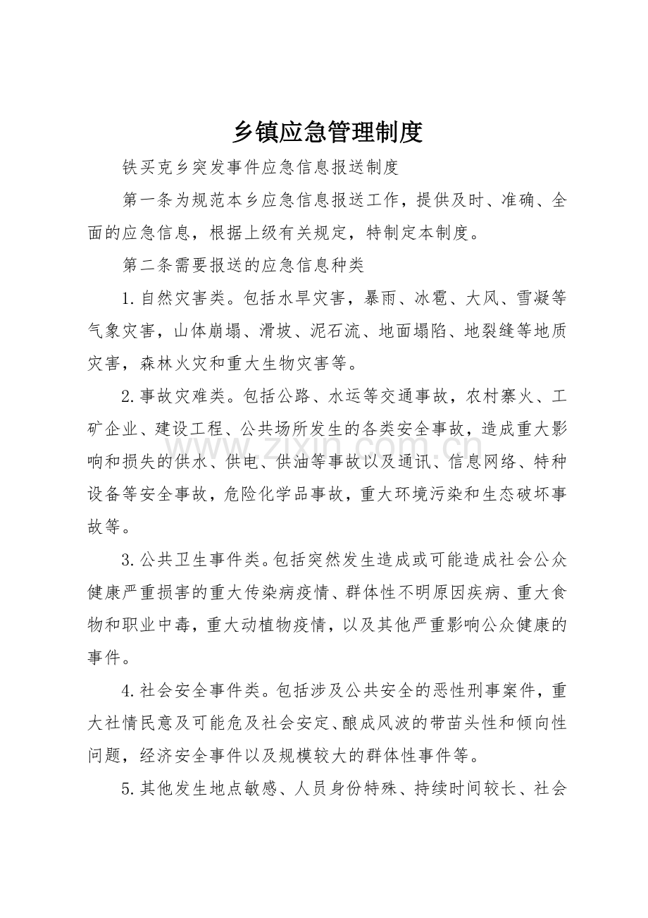 乡镇应急管理规章制度细则.docx_第1页