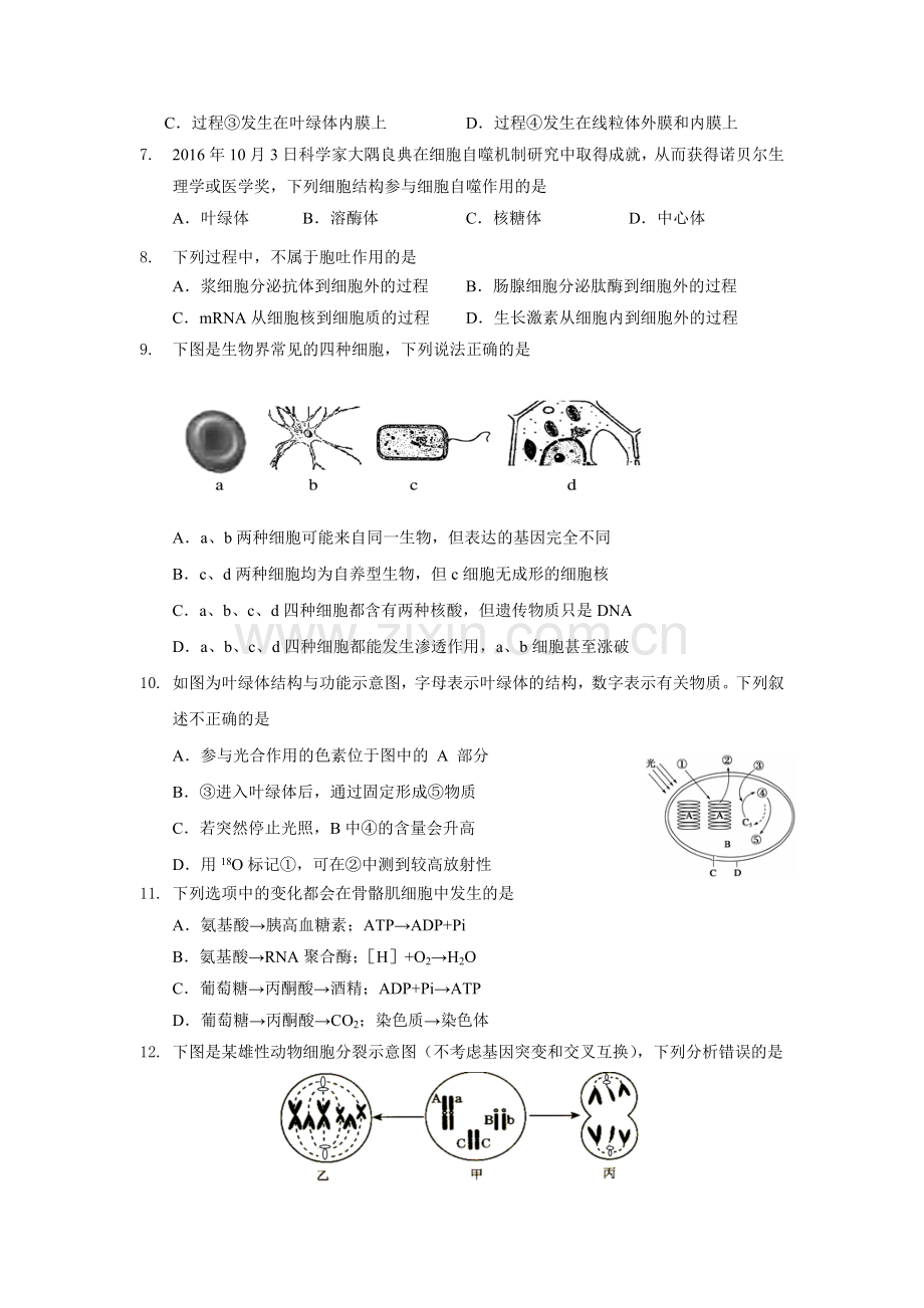 北京市朝阳区2017届高三上学期期中考试生物试题.docx_第2页