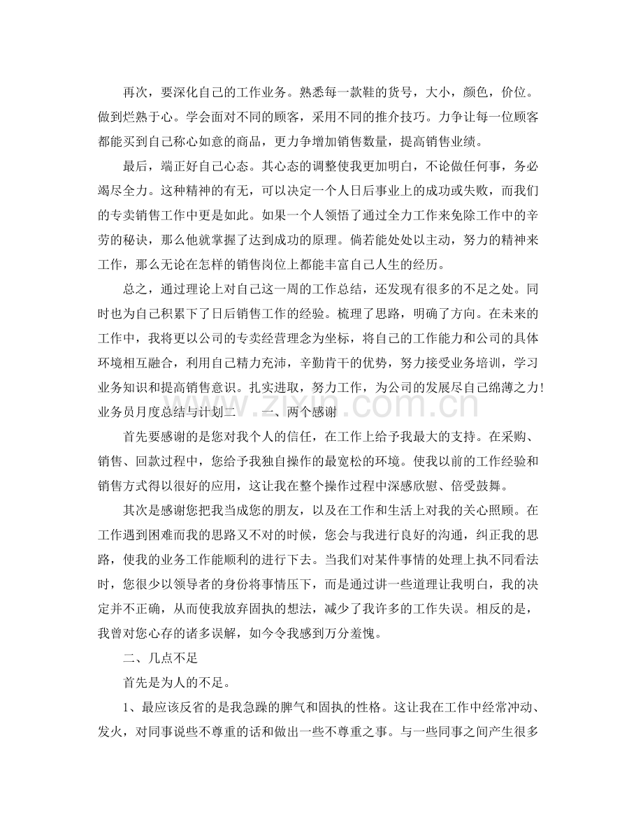 业务员月度总结与计划 .docx_第2页