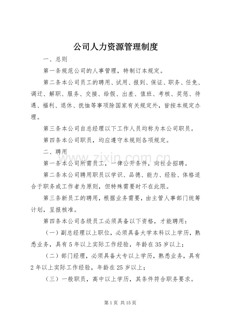 公司人力资源管理规章制度 .docx_第1页