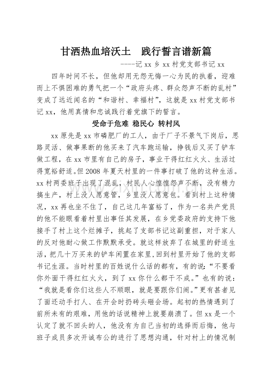 xx村党支部书记先进事迹材料.doc_第1页