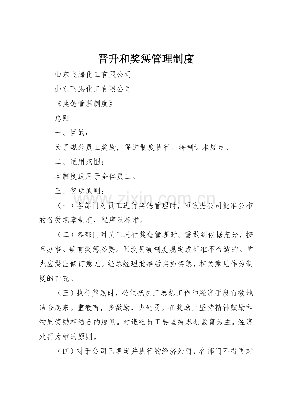 晋升和奖惩管理规章制度细则.docx_第1页