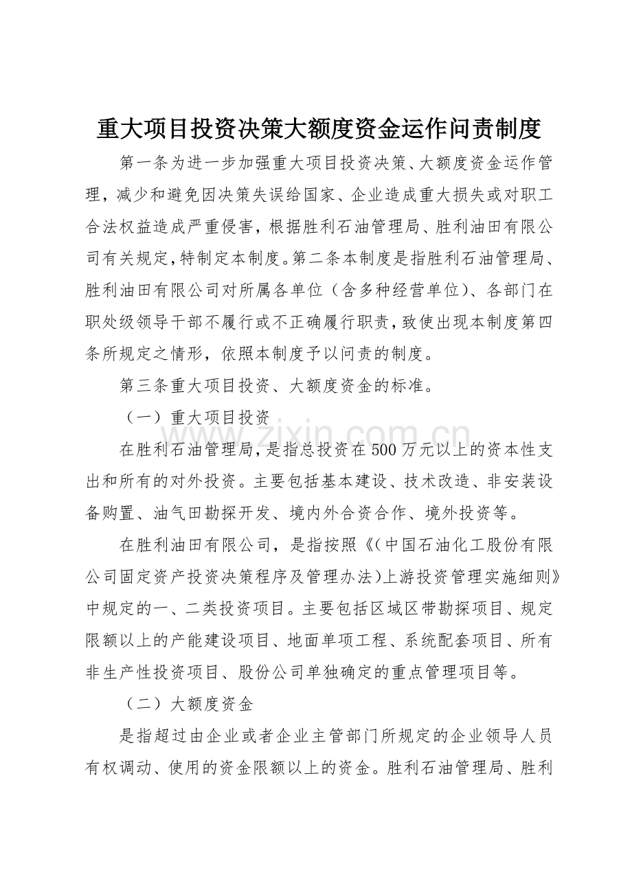 重大项目投资决策大额度资金运作问责管理规章制度.docx_第1页