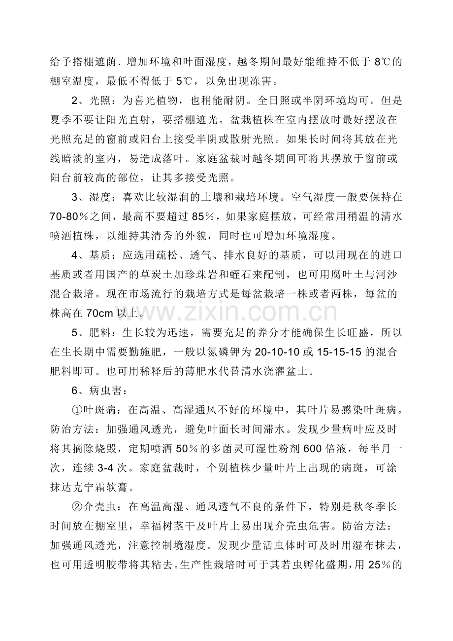 绿宝、绿萝的养殖方法.doc_第2页