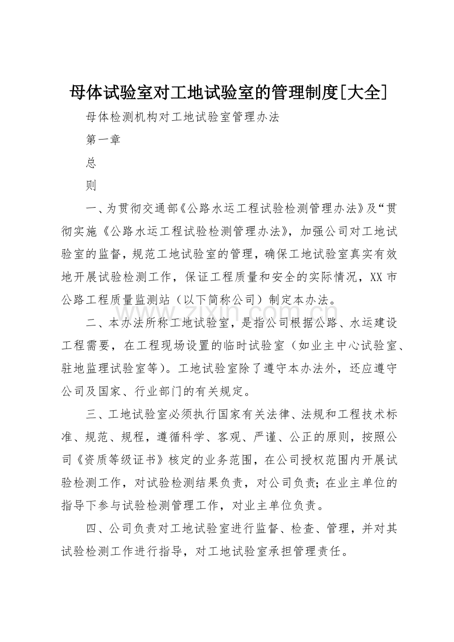 母体试验室对工地试验室的管理规章制度细则[大全].docx_第1页