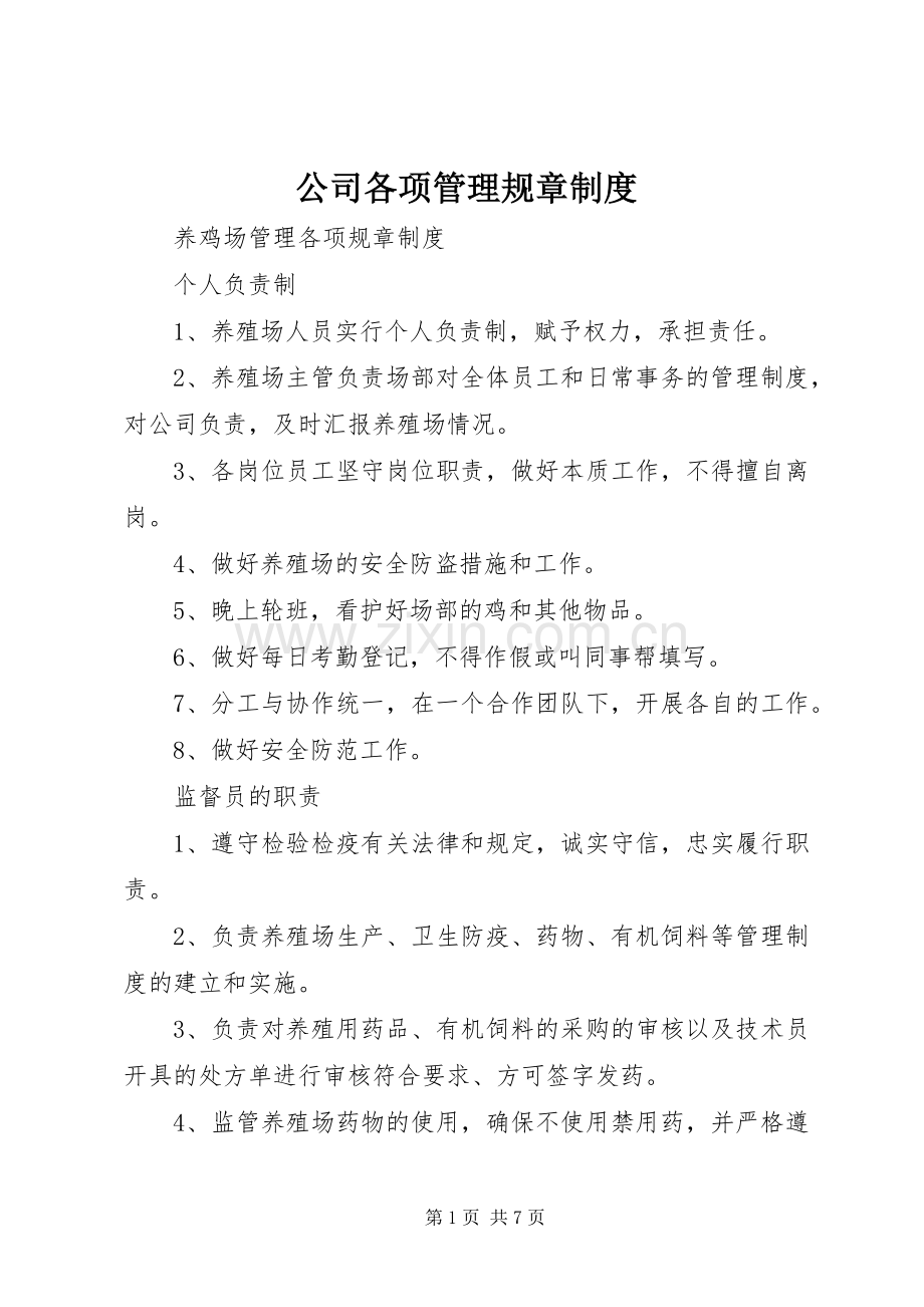 公司各项管理规章规章制度 .docx_第1页