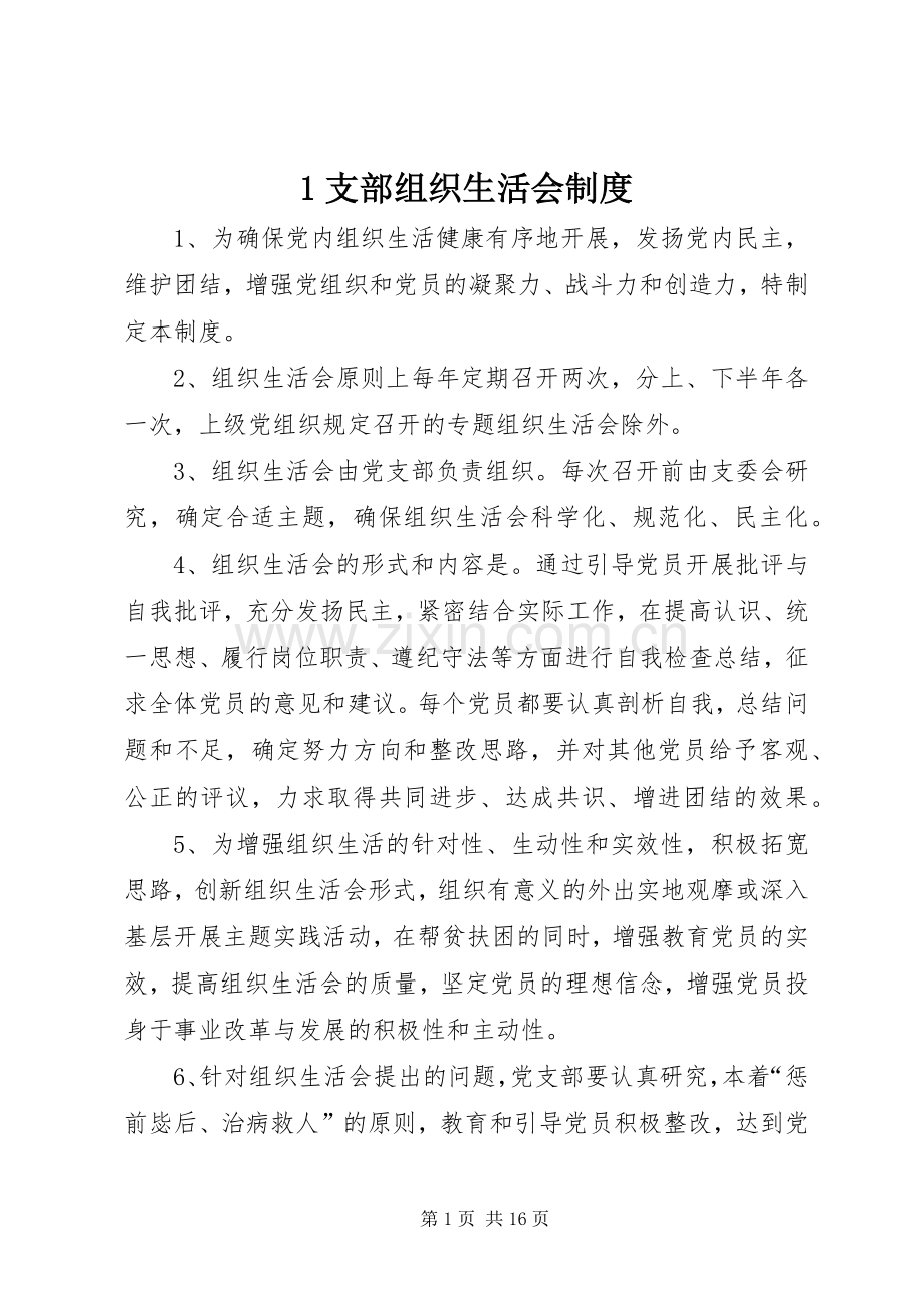 支部组织生活会规章制度.docx_第1页