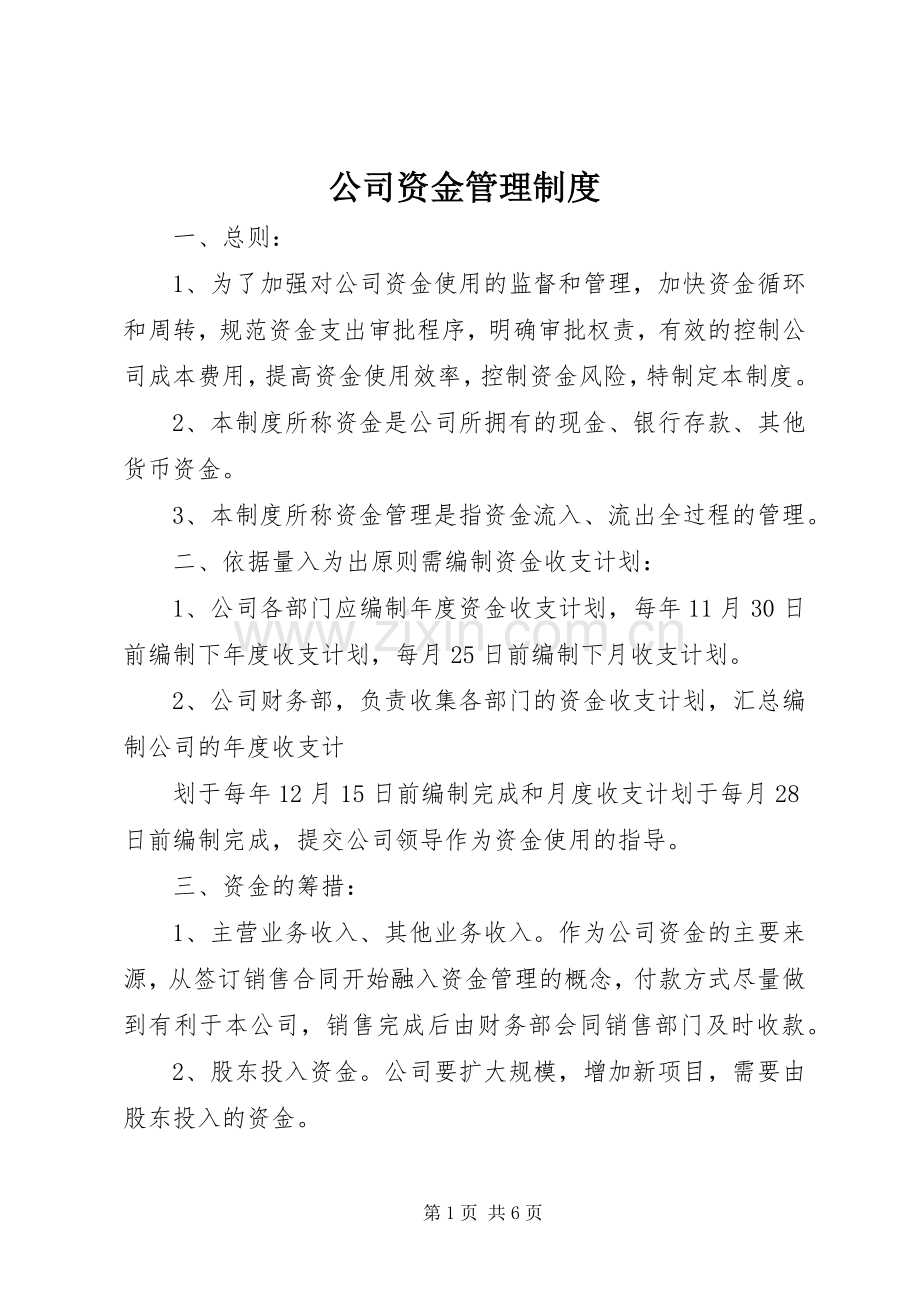 公司资金管理规章制度 .docx_第1页