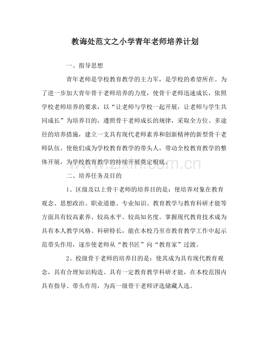 教导处范文小学青年教师培养计划.docx_第1页