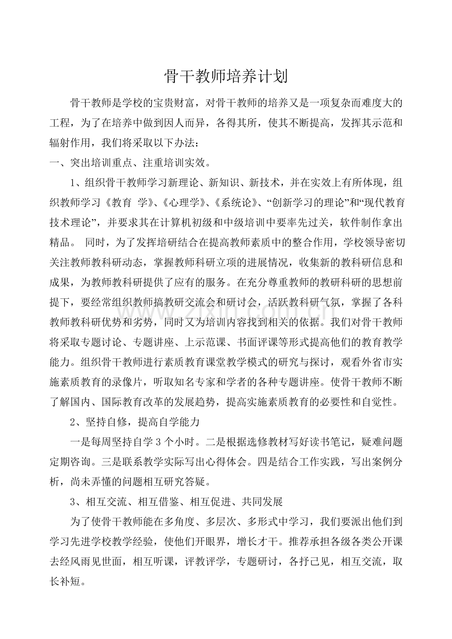 骨干教师培养计划(新).doc_第1页