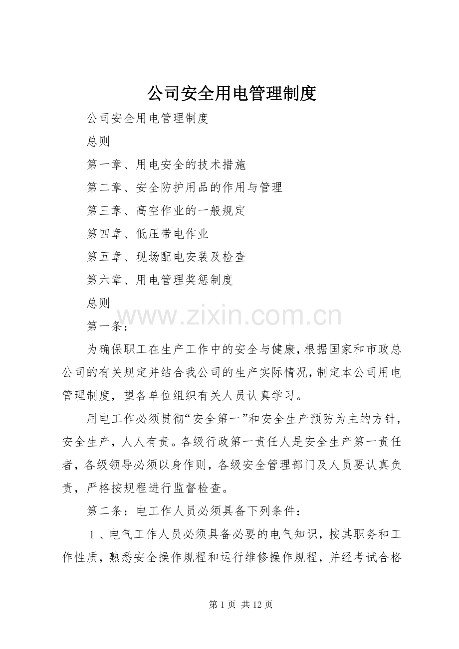 公司安全用电管理规章制度 .docx_第1页