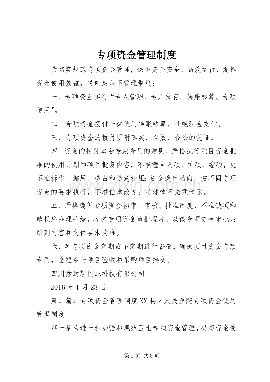 专项资金管理规章制度细则 (2).docx_第1页