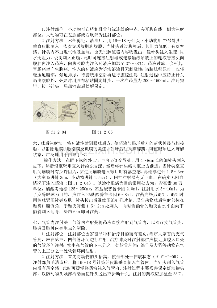 兽医临床常用操作技术.doc_第3页