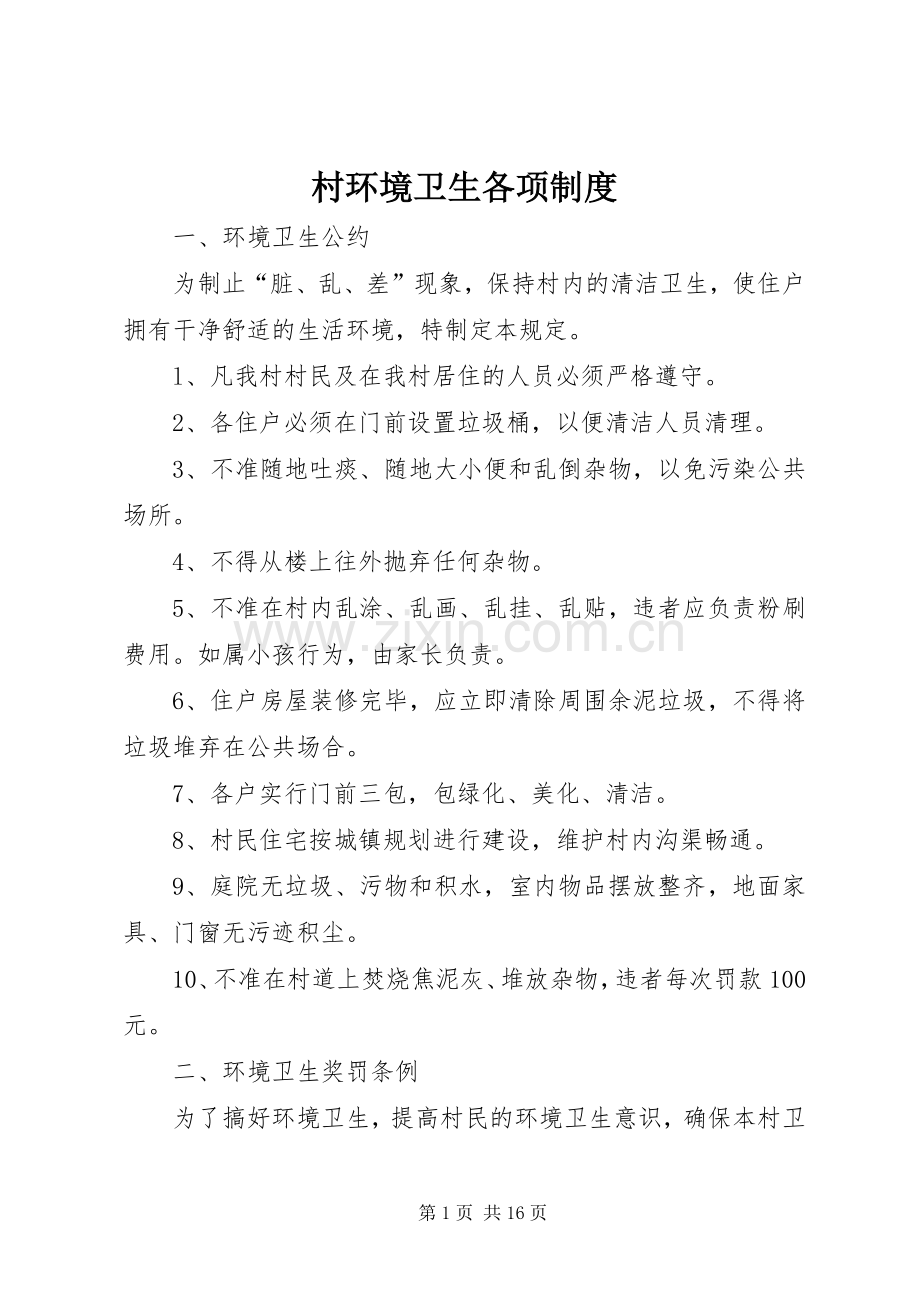 村环境卫生各项规章制度.docx_第1页