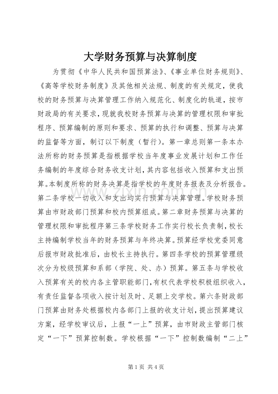 大学财务预算与决算规章制度.docx_第1页