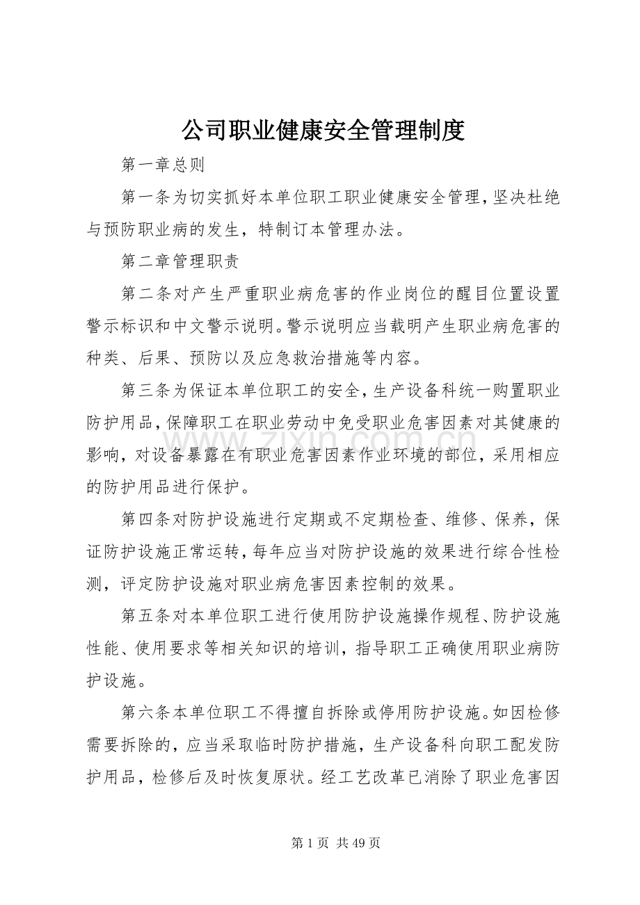 公司职业健康安全管理规章制度.docx_第1页