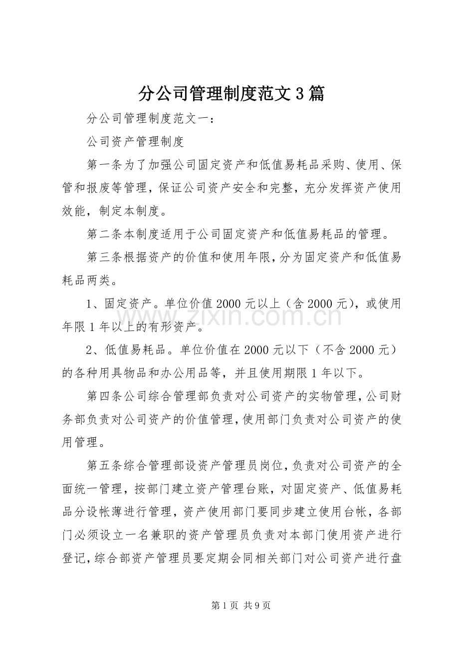 分公司管理规章制度范文3篇.docx_第1页