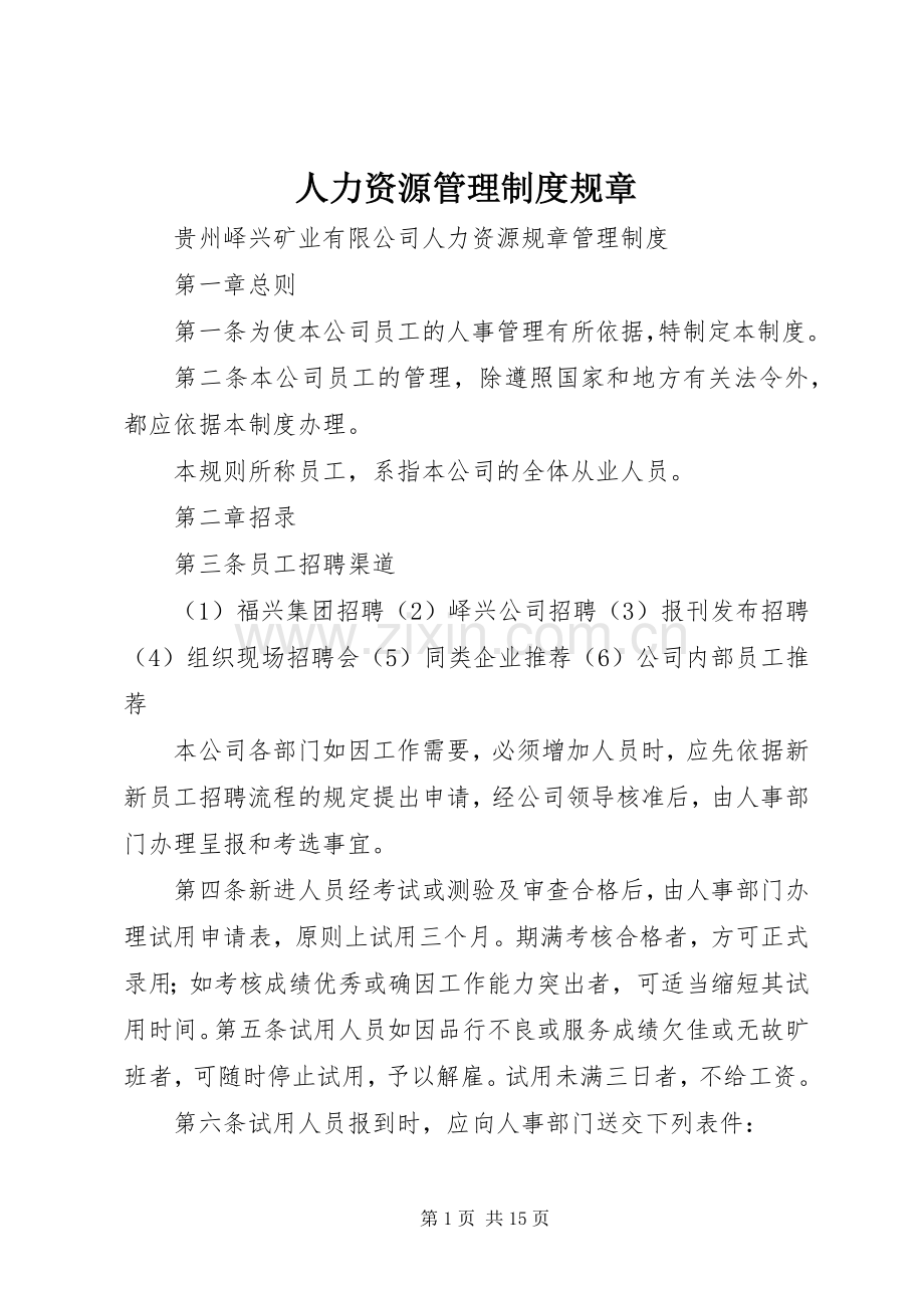 人力资源管理规章制度规章.docx_第1页