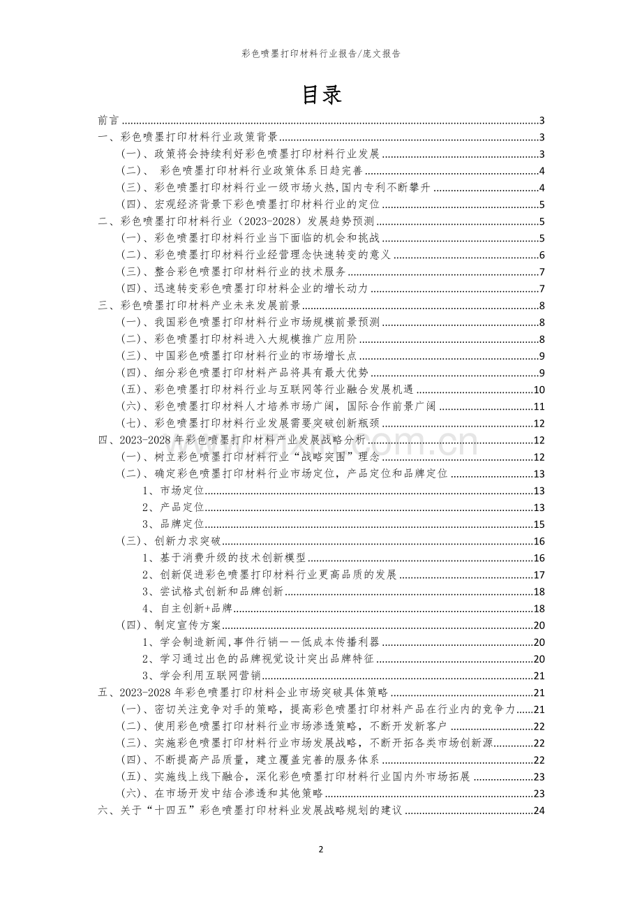 2023年彩色喷墨打印材料行业市场突围建议及需求分析报告.docx_第2页