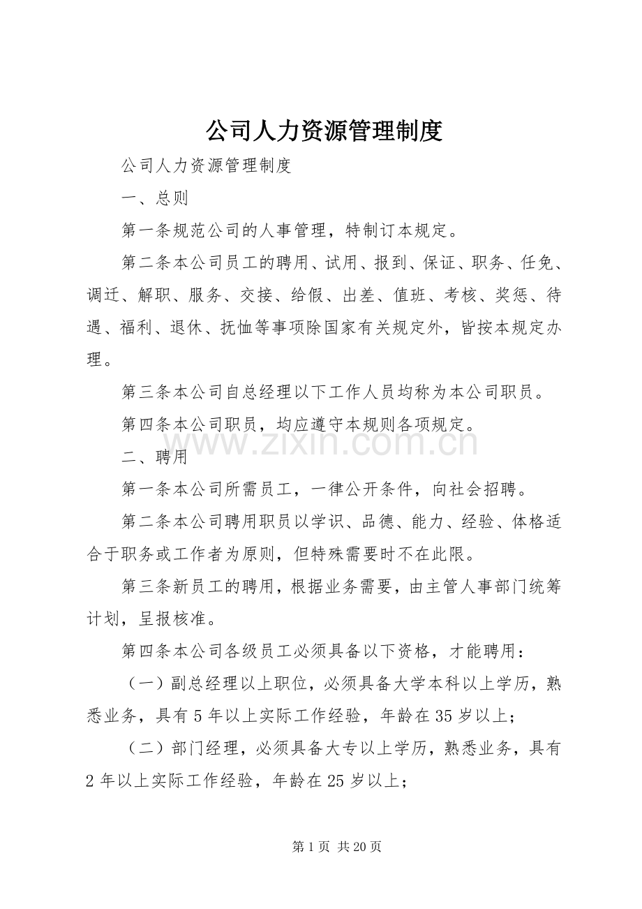 公司人力资源管理规章制度细则.docx_第1页