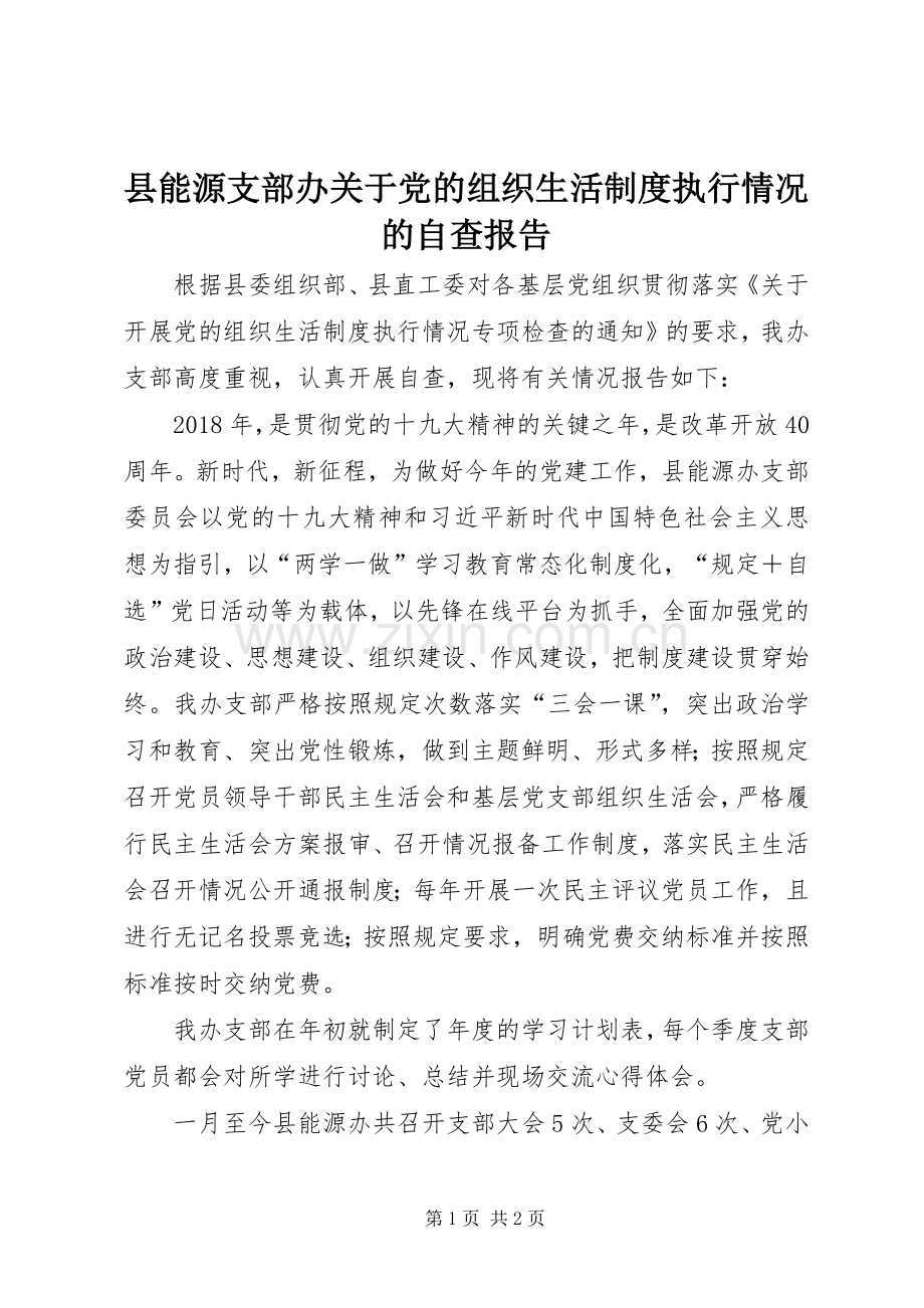 县能源支部办关于党的组织生活规章制度执行情况的自查报告 .docx_第1页