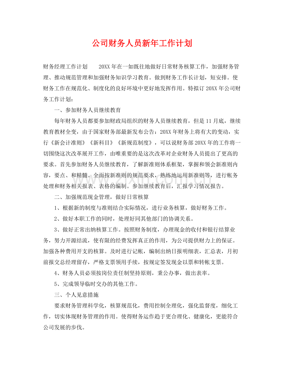 公司财务人员新年工作计划 .docx_第1页