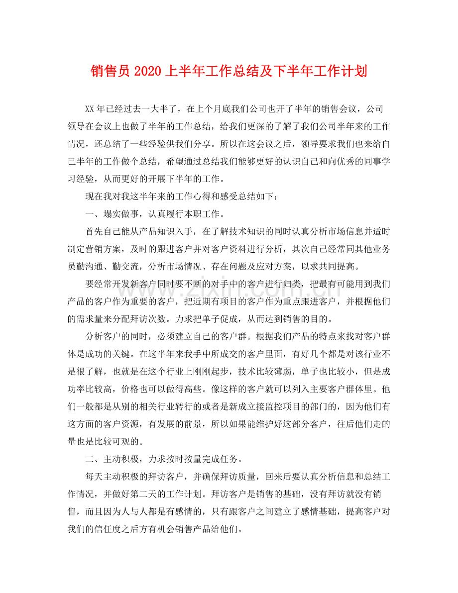 销售员2020上半年工作总结及下半年工作计划 .docx_第1页