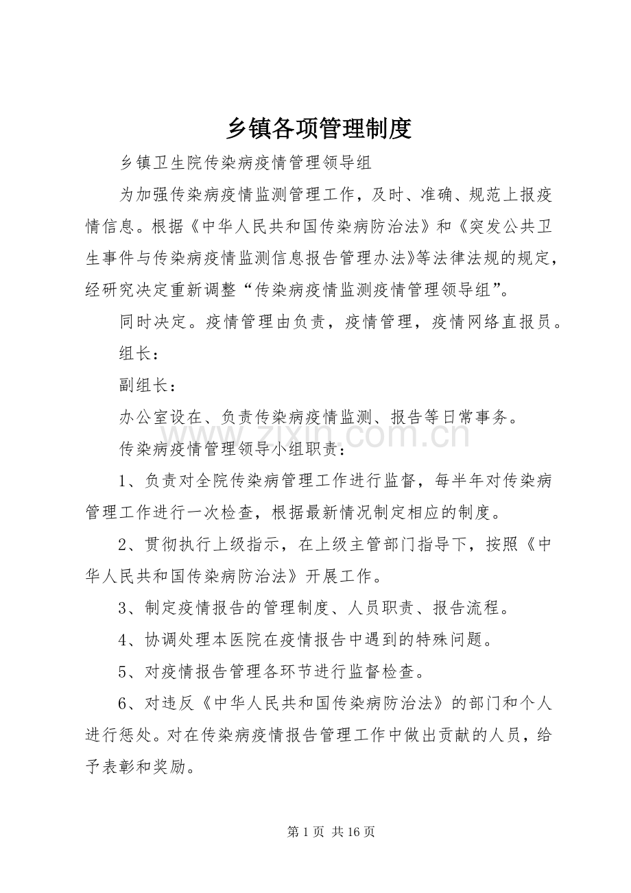 乡镇各项管理规章制度.docx_第1页