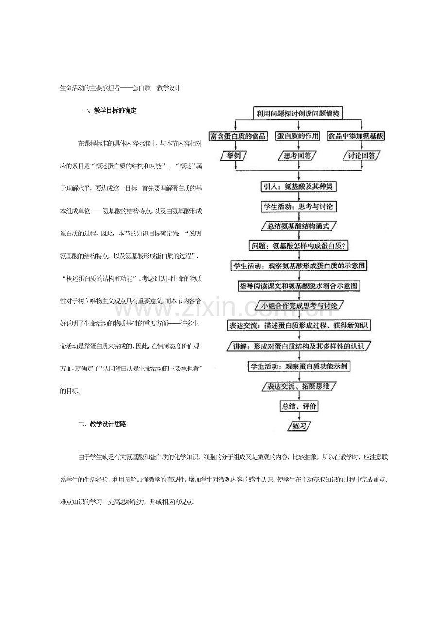 生命活动的主要承担者—蛋白质教案.doc_第1页