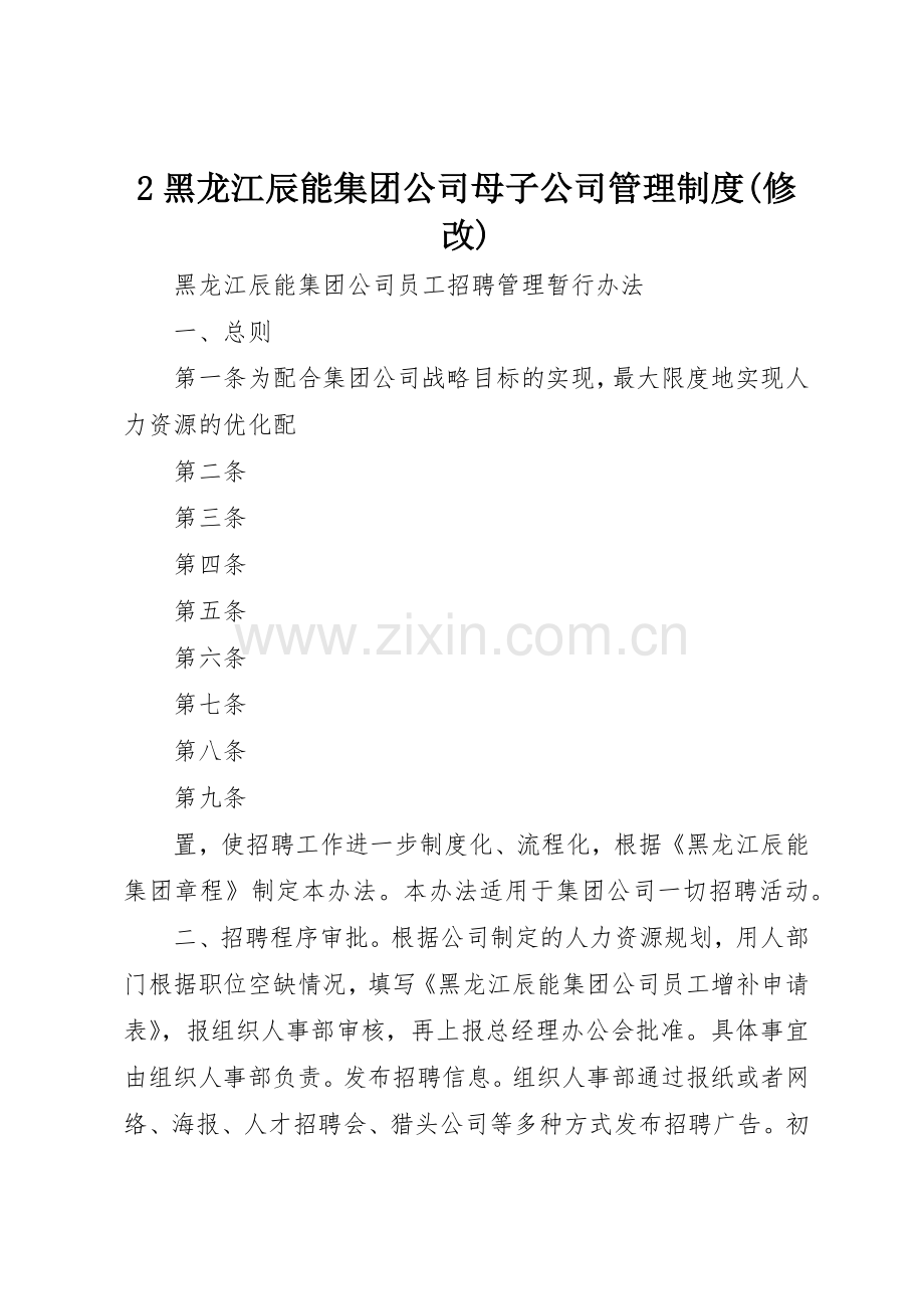 黑龙江辰能集团公司母子公司管理规章制度细则(修改).docx_第1页