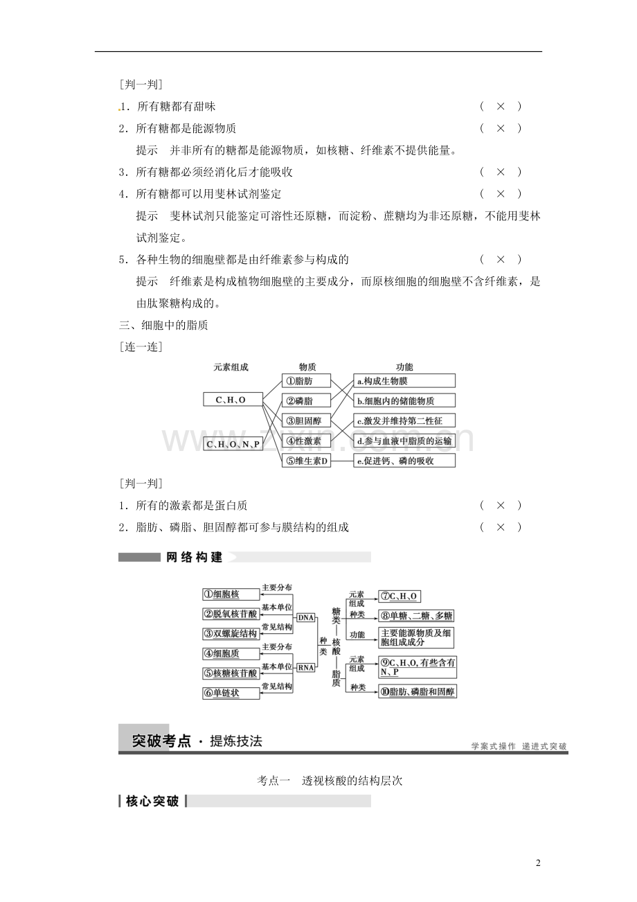 【步步高】2014届高考生物一轮(回扣基础+核心突破+命题探究)1.4核酸、细胞中的糖类和脂质教学案-新人教版.doc_第2页