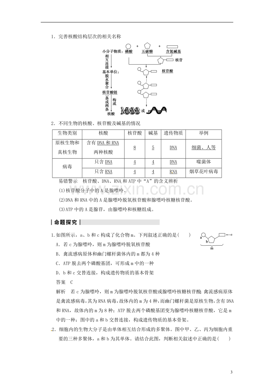 【步步高】2014届高考生物一轮(回扣基础+核心突破+命题探究)1.4核酸、细胞中的糖类和脂质教学案-新人教版.doc_第3页