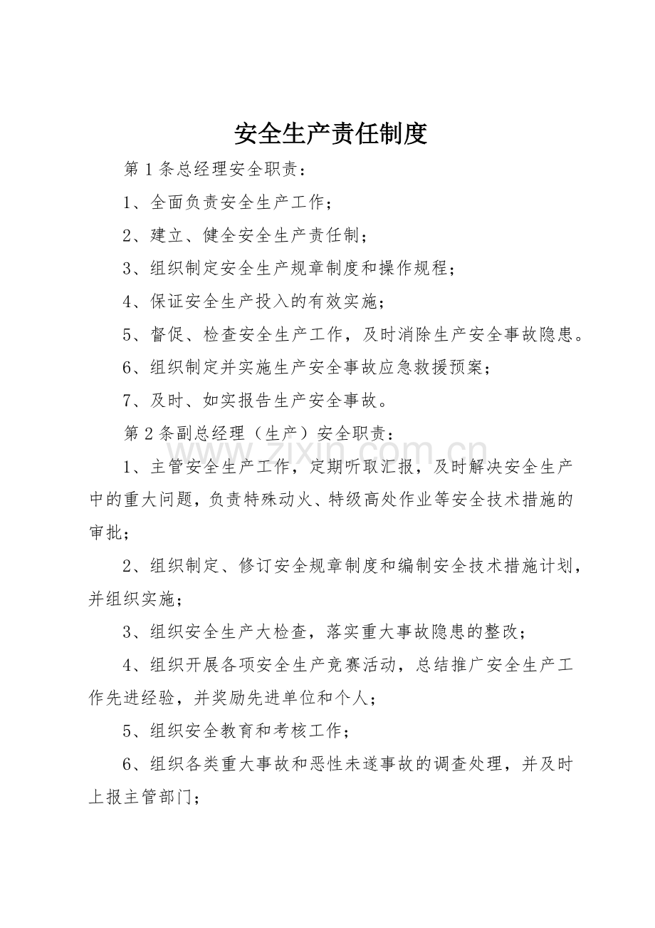 安全生产责任规章制度 (24).docx_第1页