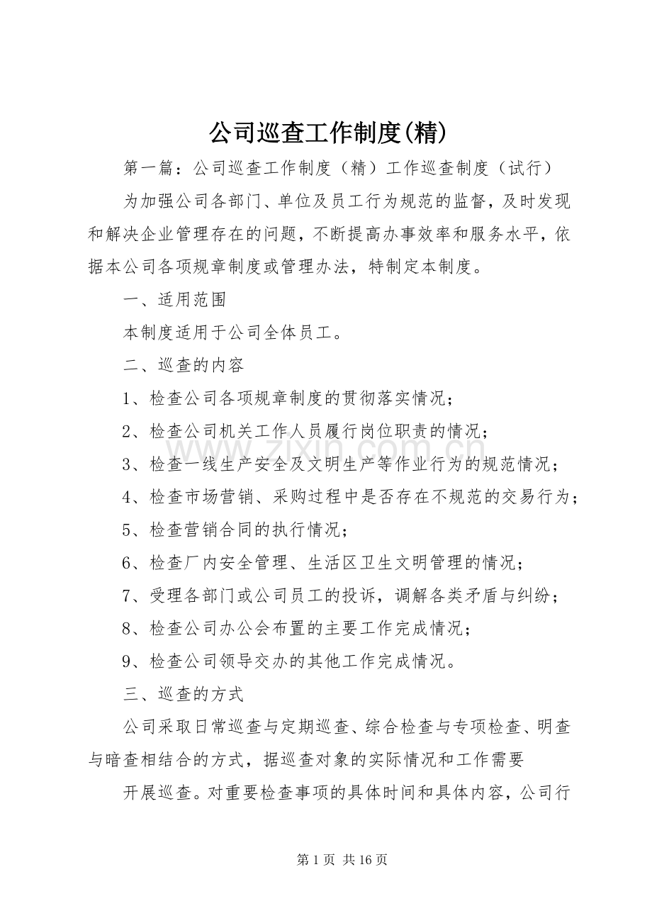 公司巡查工作规章制度.docx_第1页