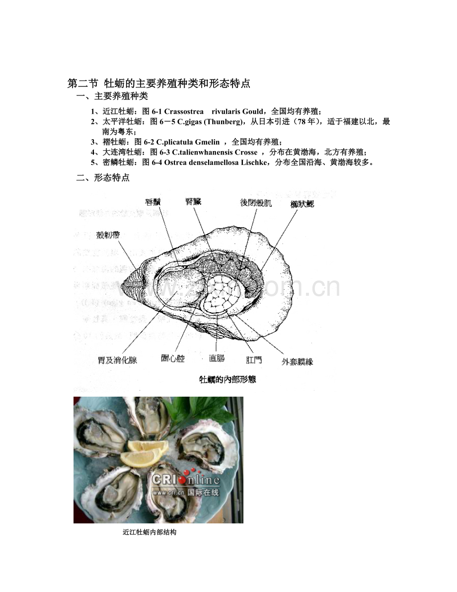 第五章牡蛎的养殖.doc_第2页