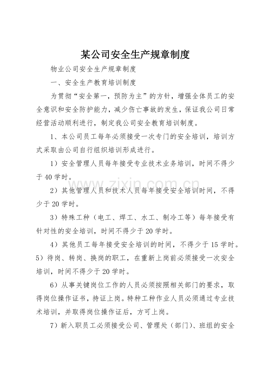 某公司安全生产规章管理规章制度.docx_第1页