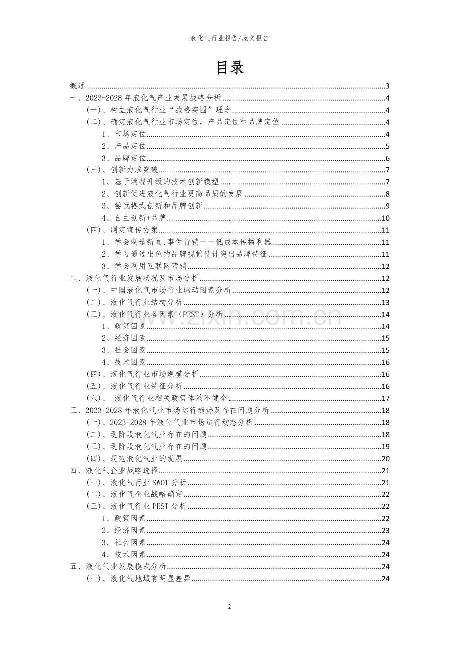 2023年液化气行业分析报告及未来五至十年行业发展报告.docx_第2页