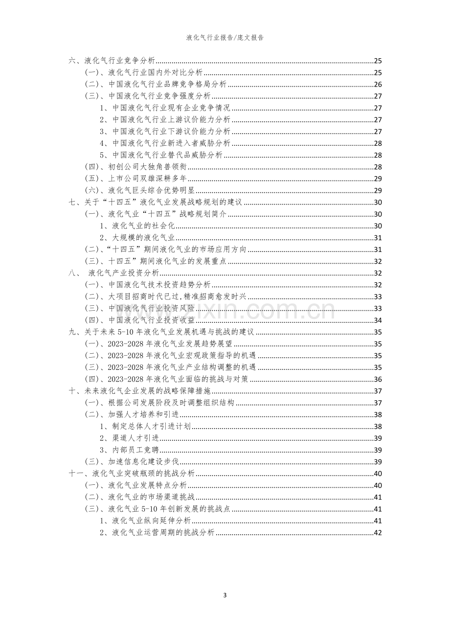 2023年液化气行业分析报告及未来五至十年行业发展报告.docx_第3页