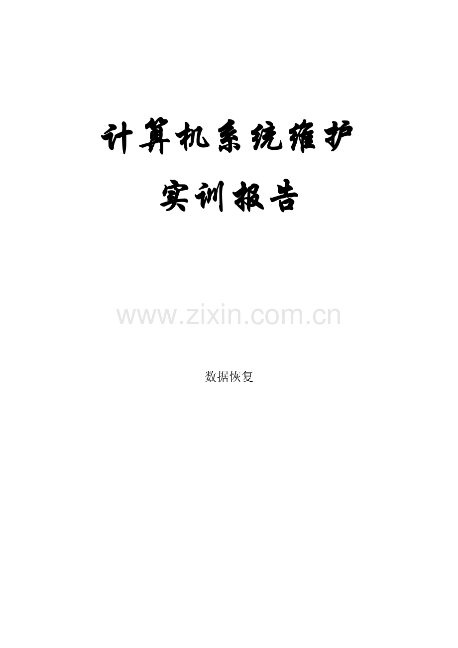 计算机系统综合实训(数据恢复).doc_第1页