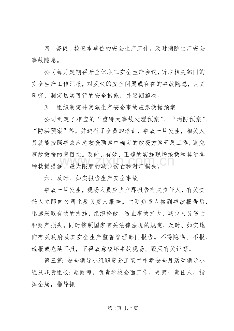 安全领导小组职责要求.docx_第3页