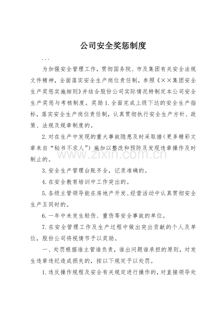 公司安全奖惩规章制度细则.docx_第1页