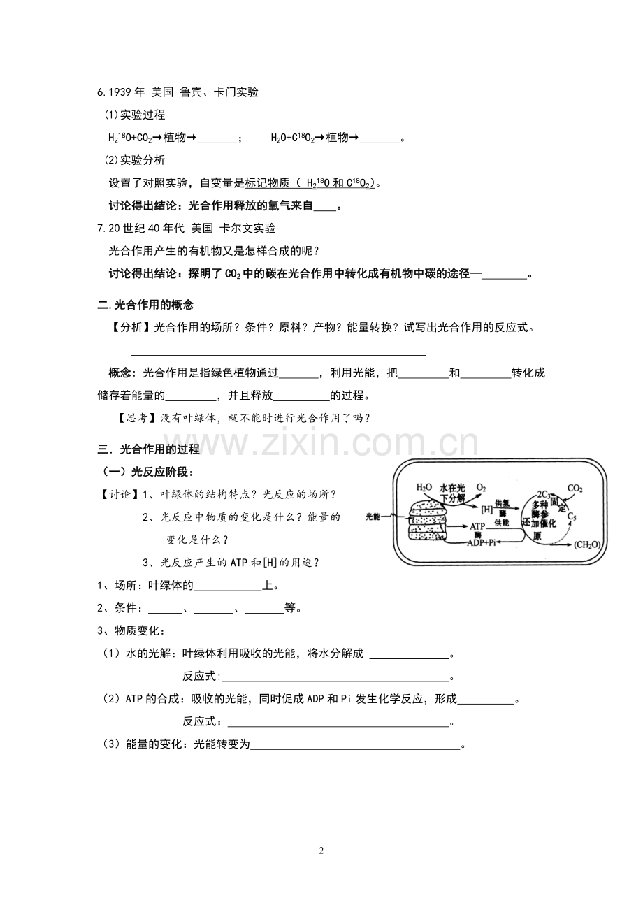 光合作用原理及应用.doc_第2页