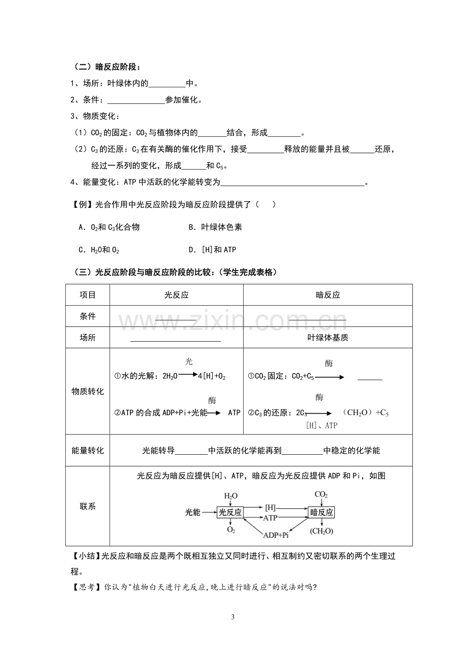 光合作用原理及应用.doc_第3页