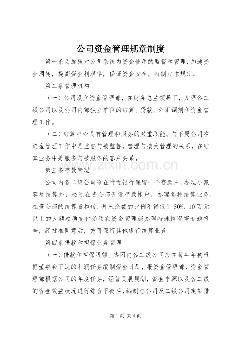 公司资金管理规章规章制度.docx_第1页