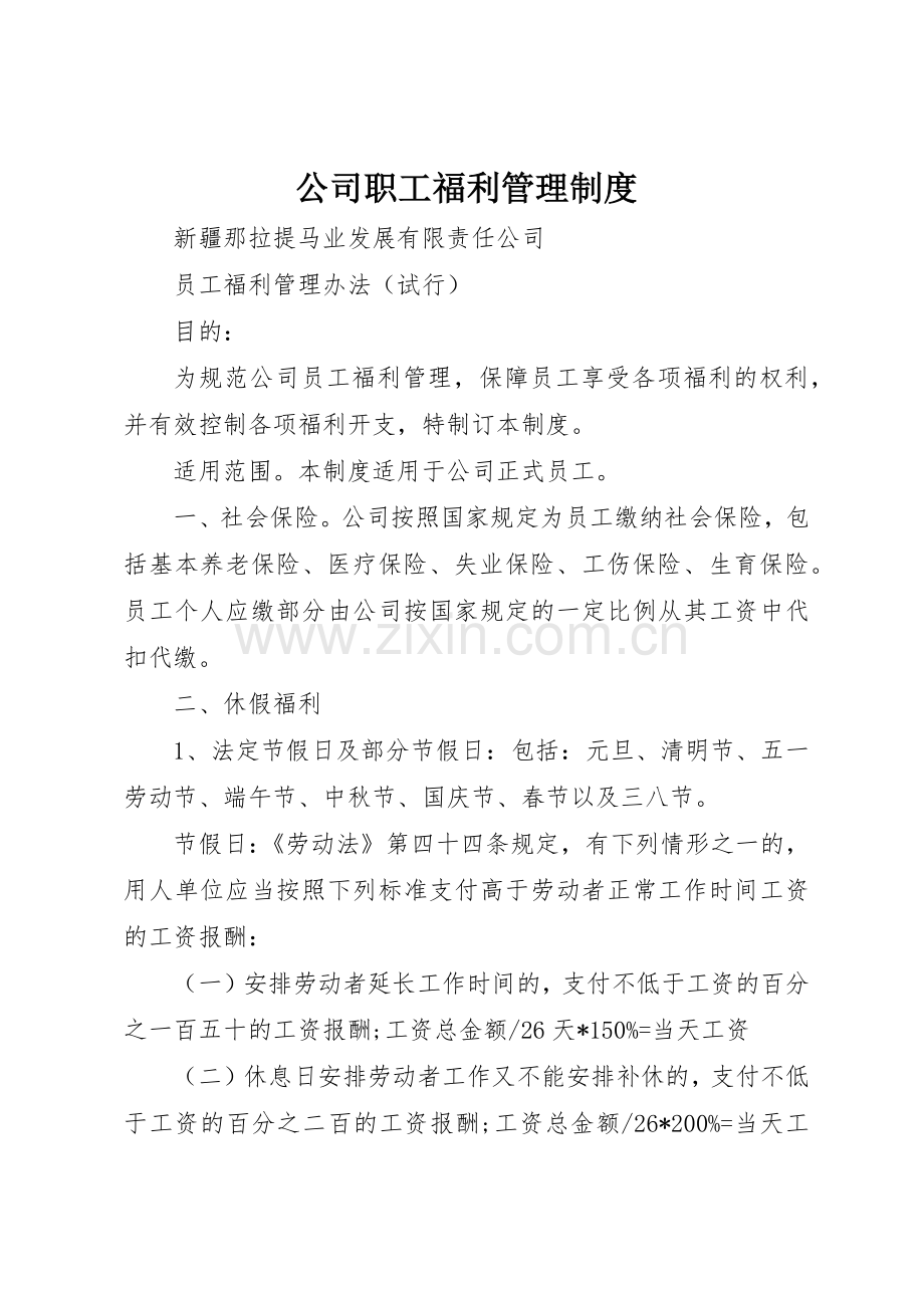 公司职工福利管理规章制度细则.docx_第1页