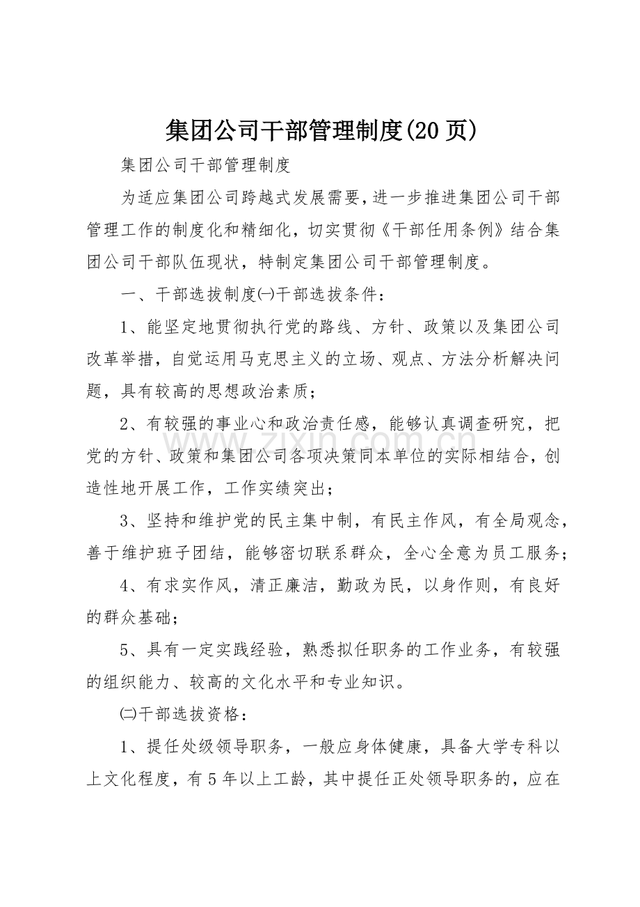 集团公司干部管理规章制度(20页).docx_第1页