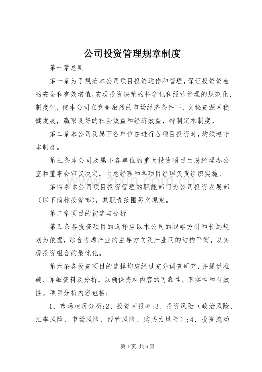 公司投资管理规章规章制度.docx_第1页