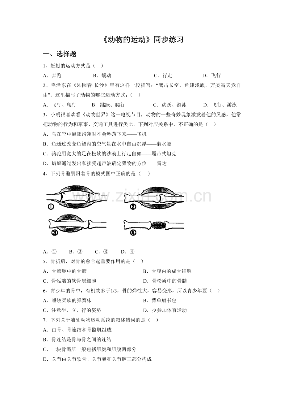 《第一节-动物的运动》同步练习3.doc_第1页