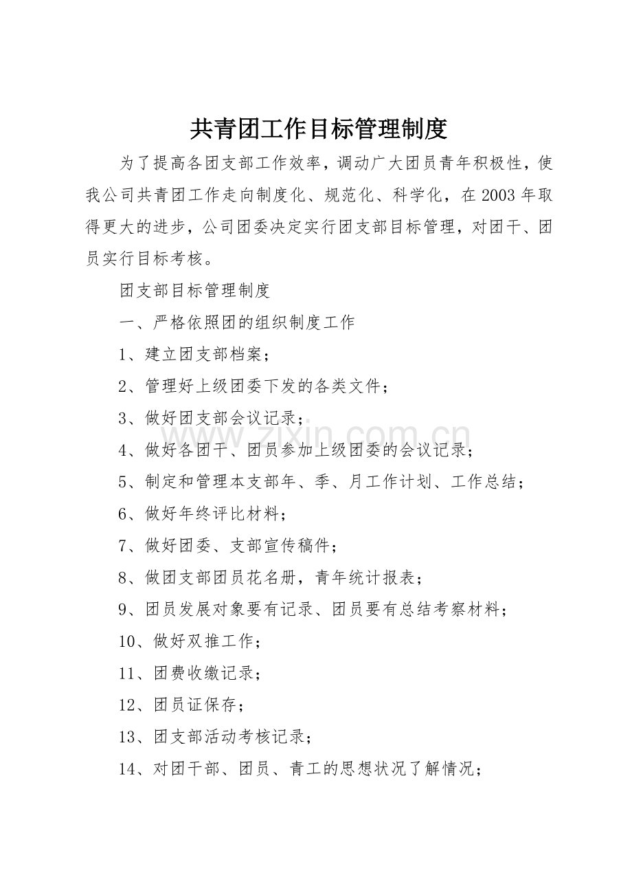 共青团工作目标规章制度管理.docx_第1页